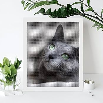 Amazon | ロシアンブルー ネコ 猫 猫柄 灰色 ダイヤモンドアート
